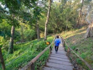Bua Tong Waterfall chiang mai