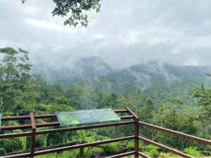 BuaTong water falls chiang mai