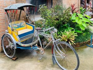 Three-wheeled bicycle taxi