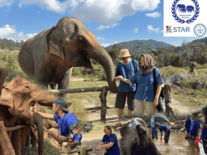 Elephant Sanctuary Chiang Mai