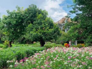 Beautiful atmosphere in the flower garden