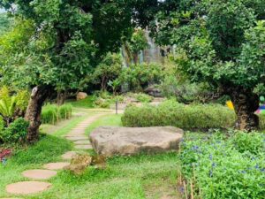 Breathtaking atmosphere in a vibrant garden