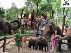 Hug Elephant Sanctuary – Ethical Half & Full Day Experience in Chiang Mai