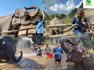 Living Green Elephant Sanctuary Chiang Mai – Half Day or Full Day with Bamboo Rafting