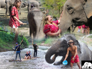 Chiang Mai Karen Hill Tribe Elephant Sanctuary