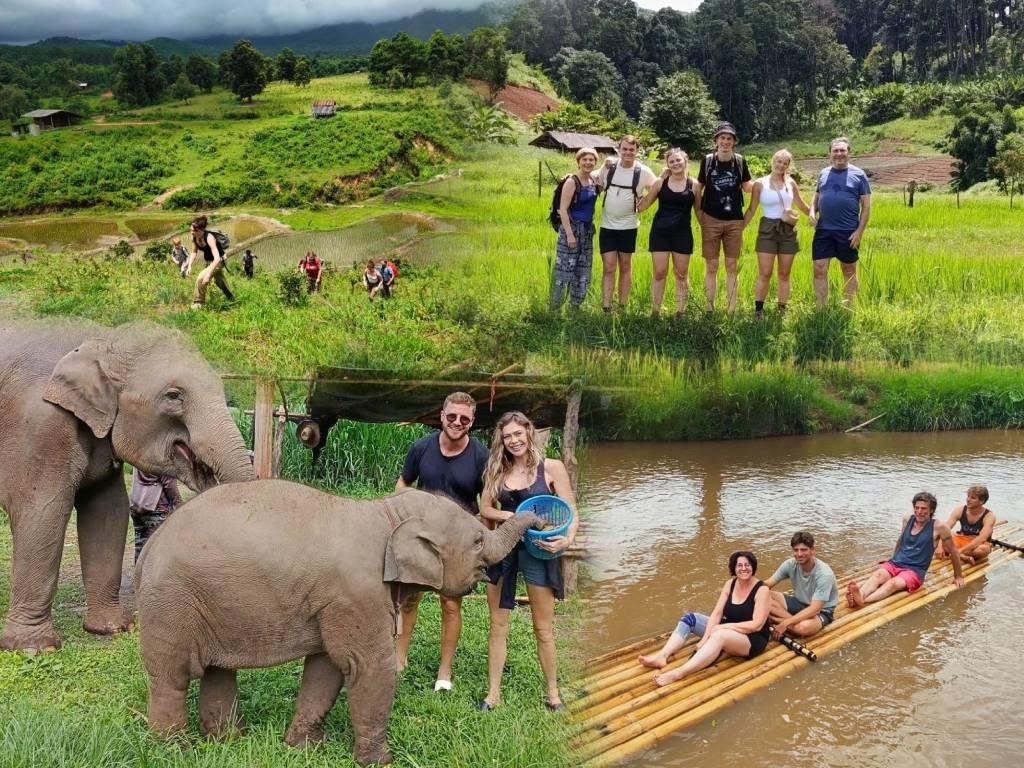 One-Day Authentic Jungle Trek & Elephant Care in Chiang Mai