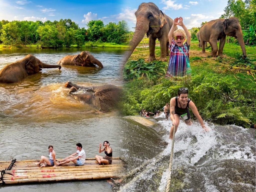 Elephant Fun Farm Chiang Mai